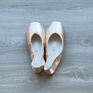Nikolay Victory pointe shoe